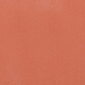 81